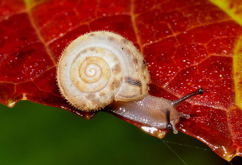 Micro riparate in casa